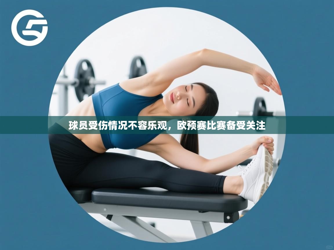 球员受伤情况不容乐观，欧预赛比赛备受关注  第2张