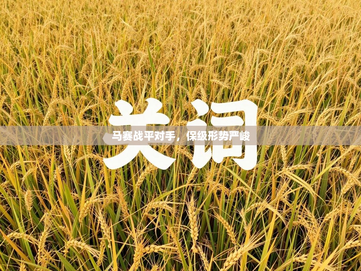 马赛战平对手，保级形势严峻  第1张